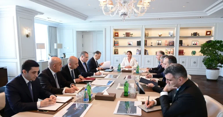Birinci vitse-prezident Mehriban Əliyevanın sədrliyi ilə Rəqəmsal İnkişaf Şurasının ilk iclası keçirilib – FOTO