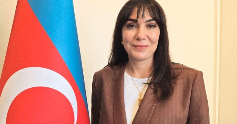 Azərbaycanın üçüncü xanım səfiri – Cəfərovanın DOSYESİ