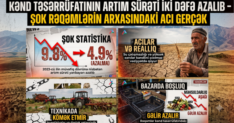 Kənd təsərrüfatının artım sürəti İKİ DƏFƏ azalıb – ŞOK RƏQƏMLƏRİN arxasındakı acı GERÇƏK