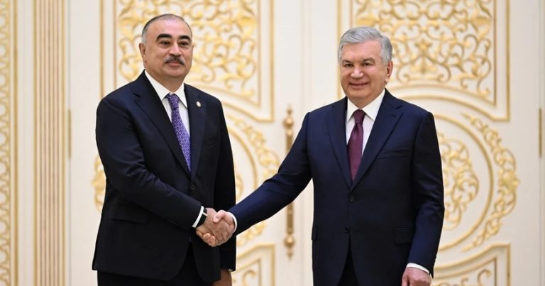 Rəşad Məmmədov etimadnaməsini Şavkat Mirziyoyevə təqdim etdi