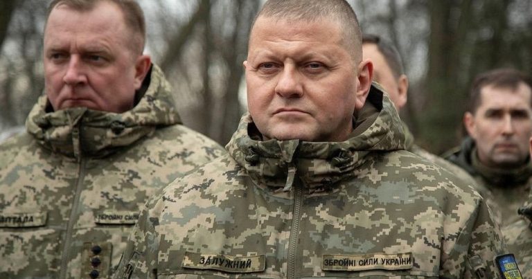 Zalujnı Rusiya ilə sərhəd bölgəsinə səfər etdi Zalujnı Rusiya ilə sərhəd bölgəsinə səfər etdi