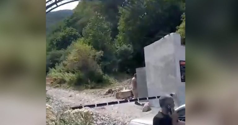Məşhur şəlaləyə gedən yola şlaqbaum qoyuldu – Ödəniş tələb edilir – Video Məşhur şəlaləyə gedən yola şlaqbaum qoyuldu – Ödəniş tələb edilir – Video
