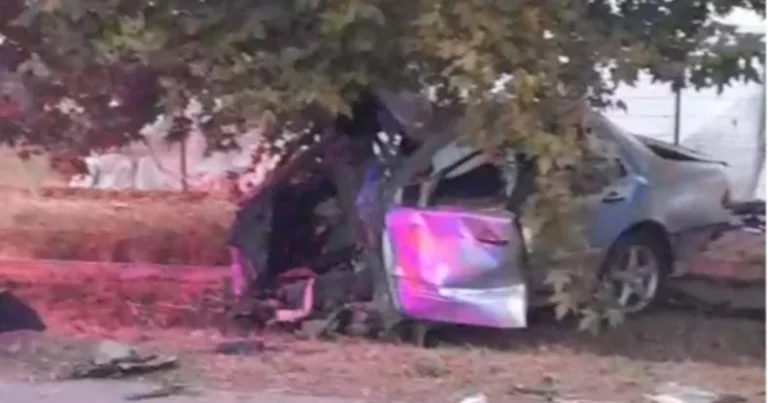 Füzulidə “Mercedes” ağaca çırpıldı, ölən var Füzulidə “Mercedes” ağaca çırpıldı, ölən var