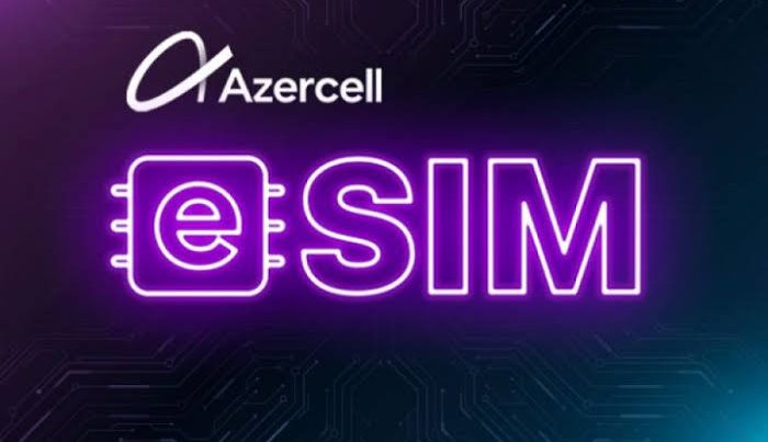 Nazilə Səfərli “Azercell”i tənqid etdi: “Vətəndaşı xarici ölkədə dilənçiyə döndərirsiz”