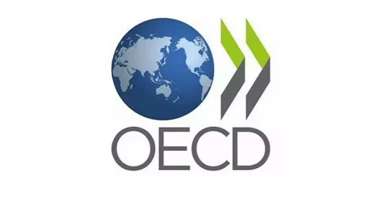 OECD: Süni intellekt investisiyaları qlobal iqtisadiyyata dəstək verir OECD: Süni intellekt investisiyaları qlobal iqtisadiyyata dəstək verir