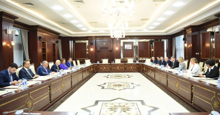 Prezidentin qanunu imzalamadan Milli Məclisə geri qaytarmasına aydınlıq gətirilib