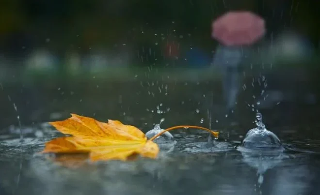 Bu rayonlara yağış yağır, Bakıda güclü külək əsir