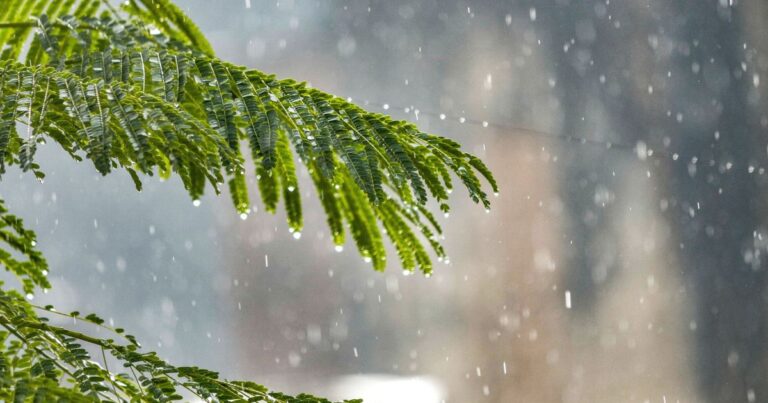 Oktyabrın 30-da hava necə olacaq? Bakıya və rayonlara yağış gəlir