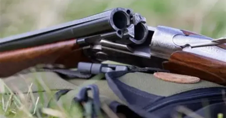 Xocalıdan silah tapıb Abşerona gəldi, anasını öldürdü