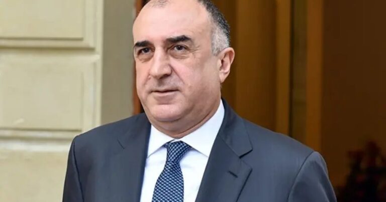 Elmar Məmmədyarov Mərdəkan bağındakı qalmaqala münasibət bildirdi