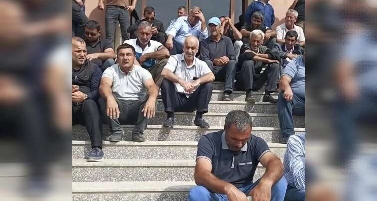 200-ə yaxın fermer pambıq pulunu ala bilmir – Nazirlikdən REAKSİYA – VİDEO