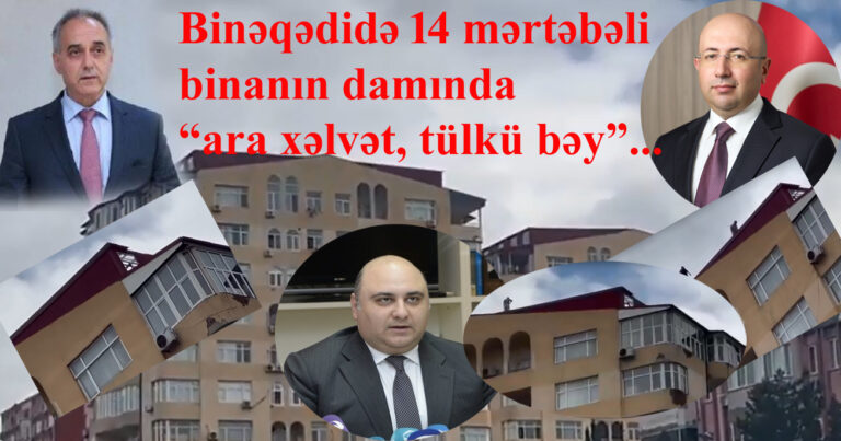 Binəqədidə 14 mərtəbəli binanın damında “ara xəlvət, tülkü bəy” – VİDEO