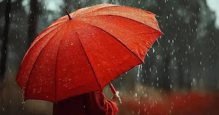 Güclü yağış, şimşək və dolu: Sabah bu ərazilərdə hava dəyişəcək Güclü yağış, şimşək və dolu: Sabah bu ərazilərdə hava dəyişəcək