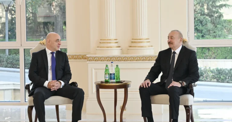 Azərbaycan Prezidenti Gürcüstanın ölkəmizə yeni təyin olunmuş səfirini qəbul edib – FOTO